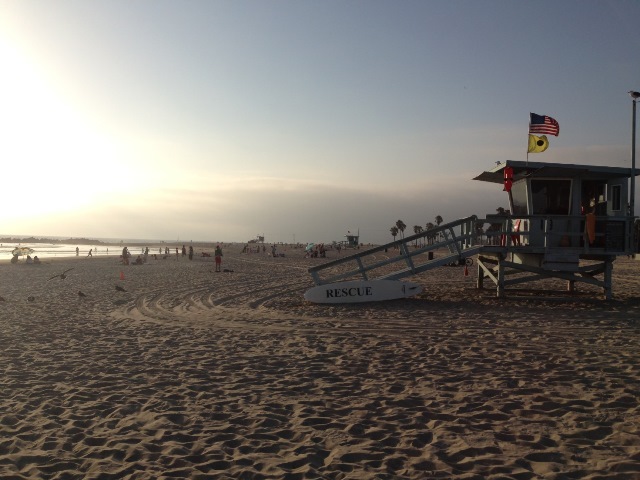 Los Angeles - Journeydraft - Muscle Beach