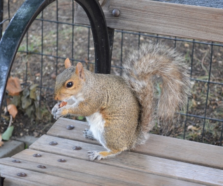 Cosa vedere a New York in 8 giorni - Journeydraft - Madison Square Park