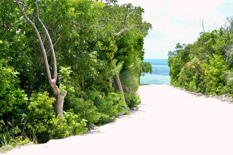 Bahamas crociera Royal Carribbean - Journeydraft - Cococay