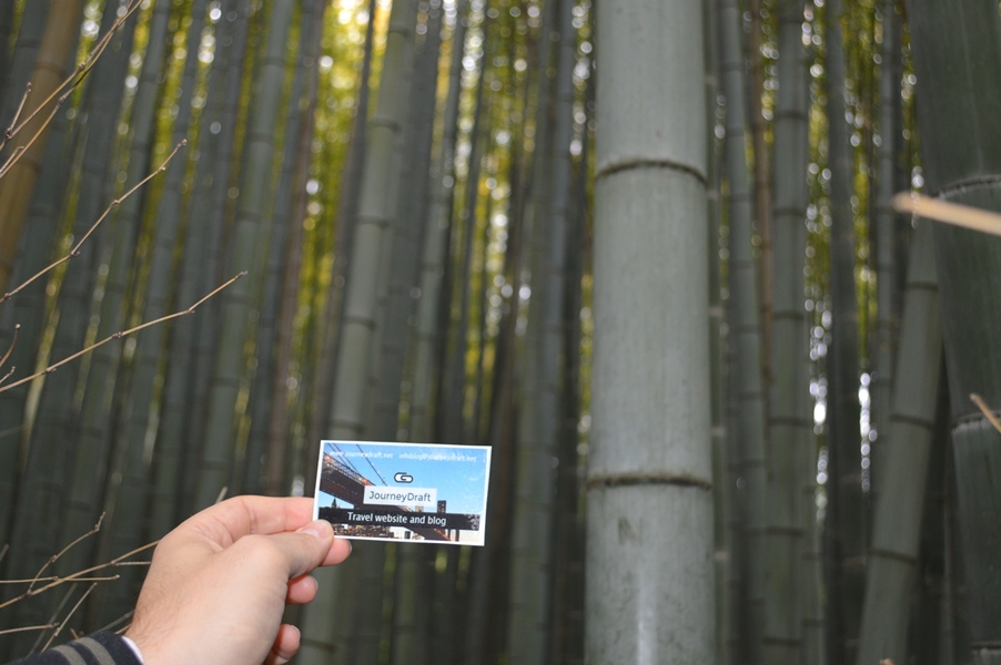 Giappone - Kyoto - Journeydraft - KyotoBambooForestBiglietto