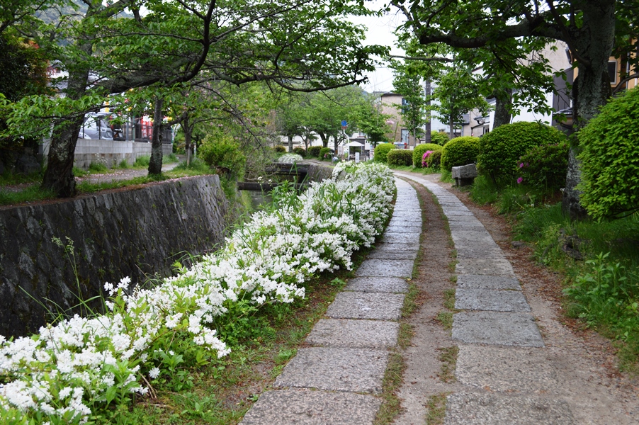 Giappone - Kyoto - Journeydraft - KyotoPasseggiatadelFilosofo