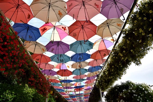 Dubai, cosa vedere e cosa fare - dune surfing - Journeydraft - Dubai Miracle Garden