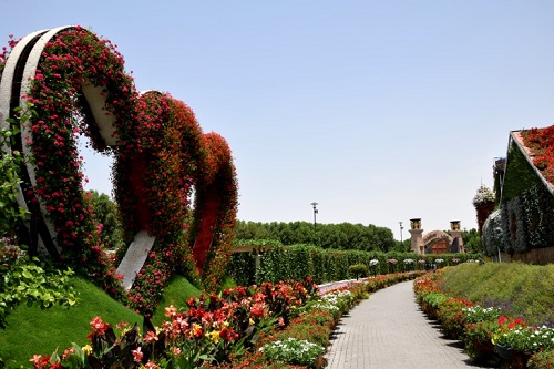 Dubai, cosa vedere e cosa fare - dune surfing - Journeydraft - Dubai Miracle Garden