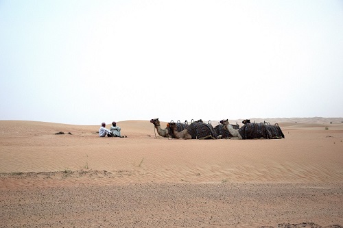 Dubai, cosa vedere e cosa fare - dune surfing - Journeydraft - Dubai Desert Safari