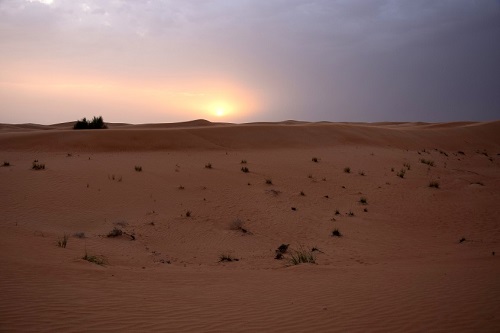 Dubai, cosa vedere e cosa fare - dune surfing - Journeydraft - Dubai Desert Safari