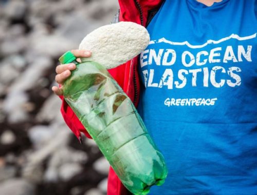 Plastic Free Week luglio 2018 - Journeydraft