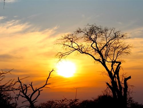 Sud Africa: Pretoria e Kruger National Park - Journeydraft