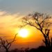 Sud Africa: Pretoria e Kruger National Park - Journeydraft