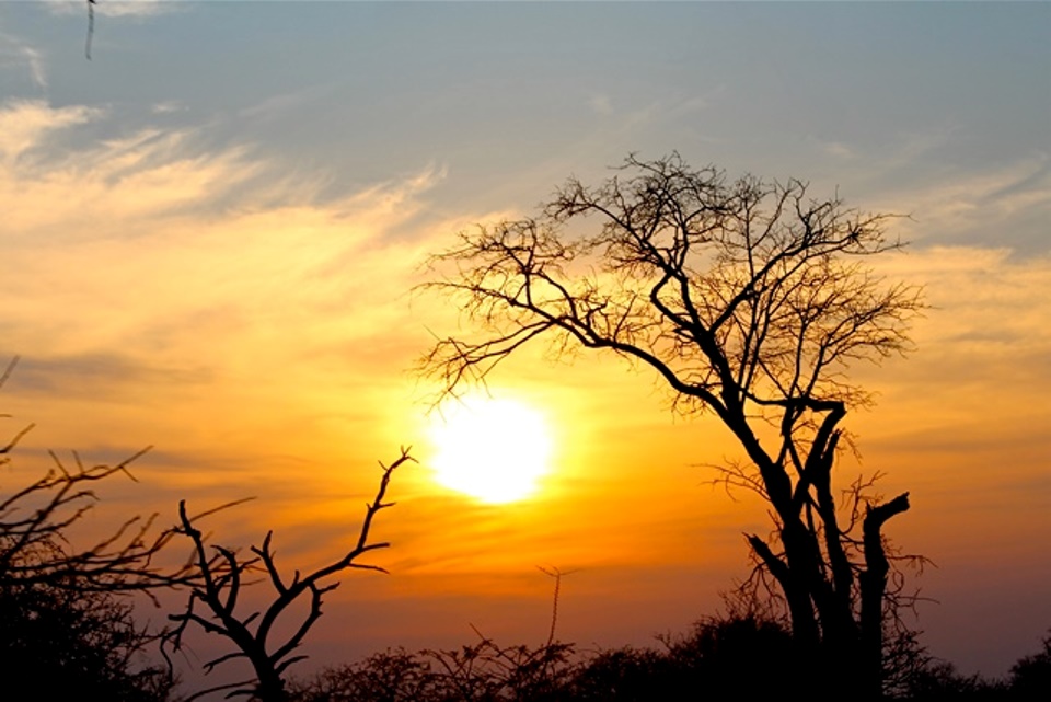 Sud Africa: Pretoria e Kruger National Park - Journeydraft